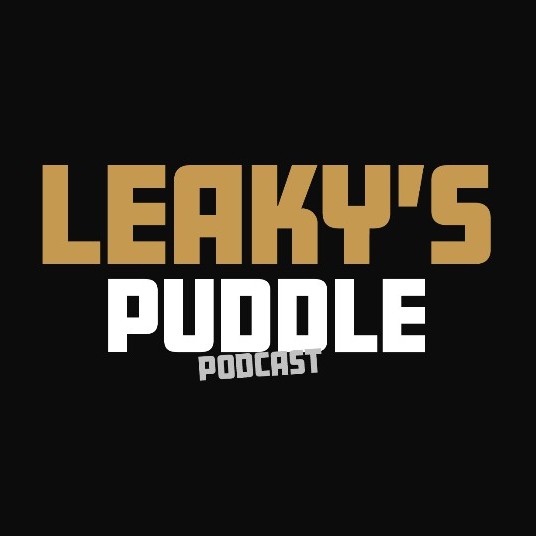 Leaky Johnson’s Puddle 03/09/2025